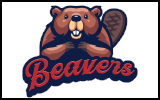 Flag Hannover Beavers